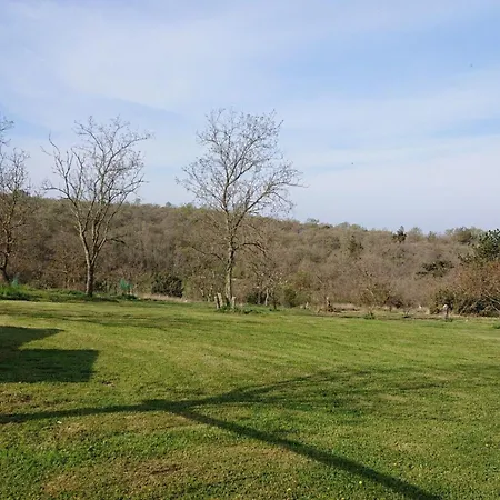 Haus Im Wald By Interhome Holiday home *